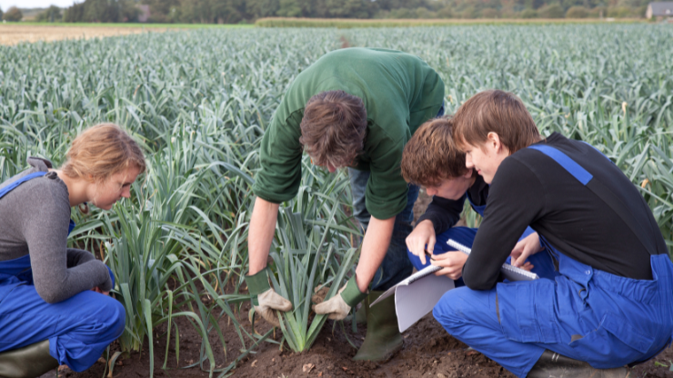 Plant Pathology Laboratory